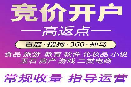 顶尖SEM竞价代运营公司案例分析